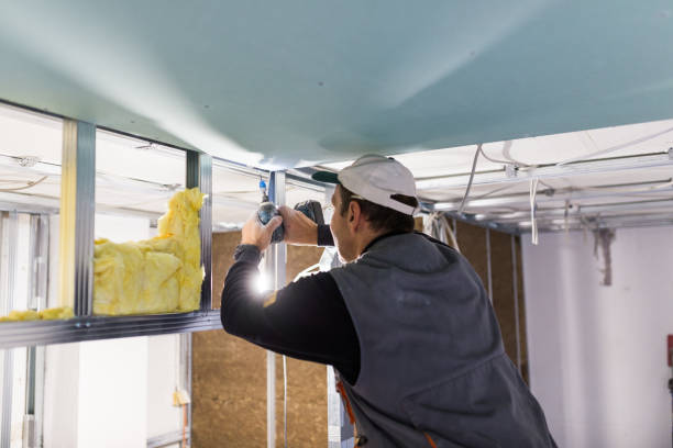 Best Residential Insulation in Shawneeland, VA