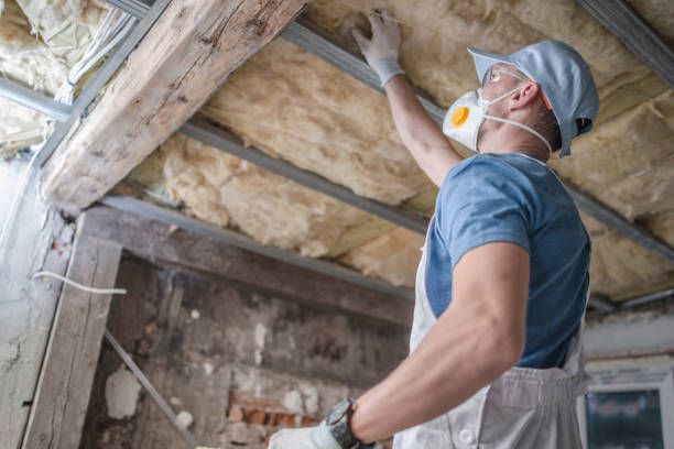 Best Residential Insulation in Shawneeland, VA